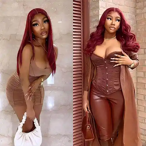 Virgin Burgundy Straight Hair 13x4/13x6 Lace Frontal Wigs Straight 99J HD Transparent Wig